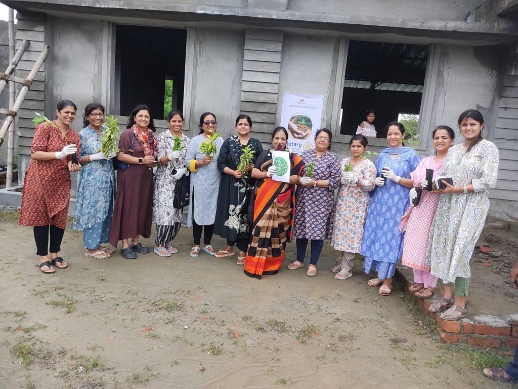 Tree Plantation