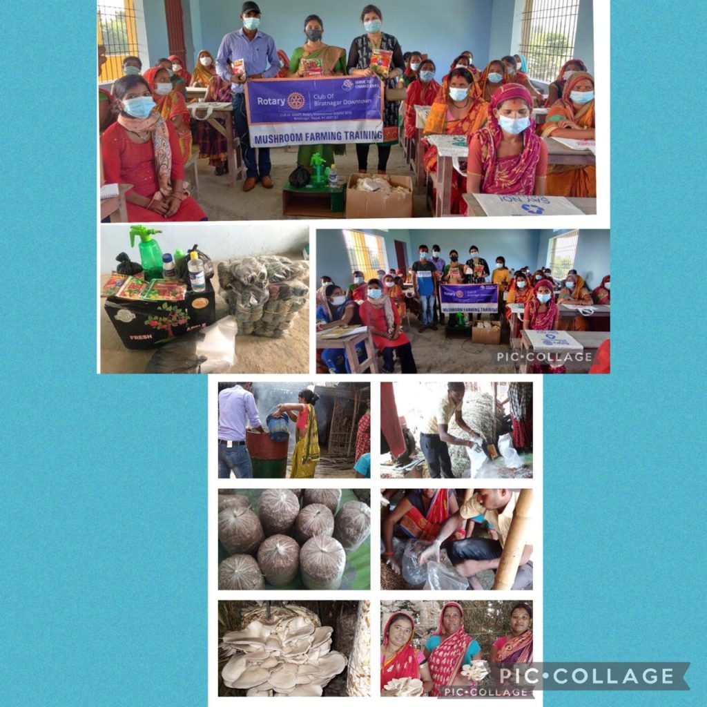 Mushroom Framing Training and completion Program
