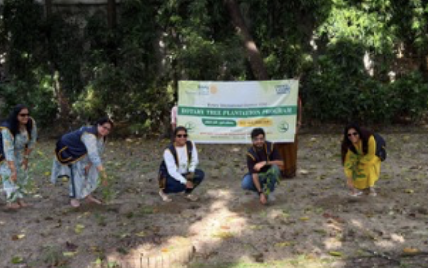 Tree Plantation Campaign – Phase 2