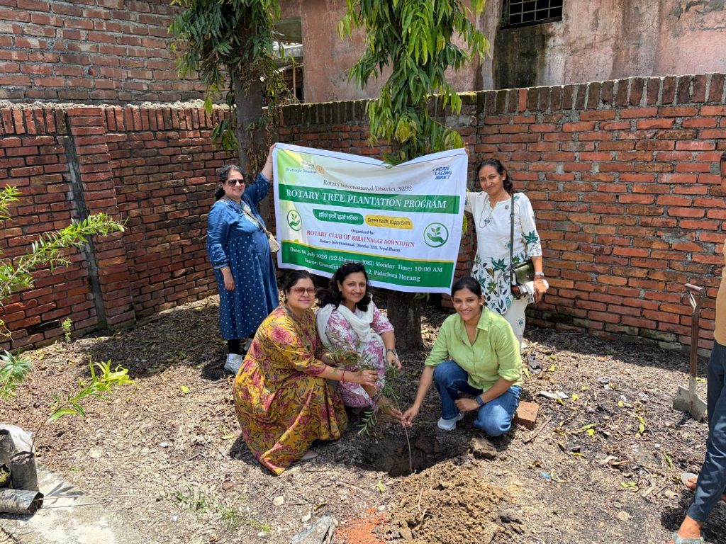 Tree Plantation Campaign – Phase 1