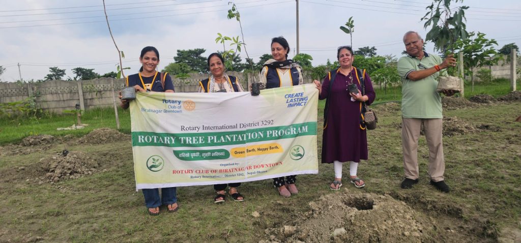 Tree Plantation Campaign – Phase 3